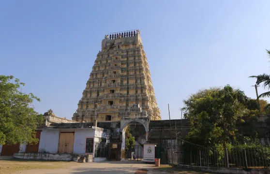 印度瓦拉納西Trip Moments【多語言溝通翻譯/攝影師一對一跟拍婚紗寫真/底片多拍多送】