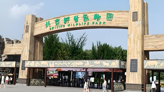 BeijingTours
