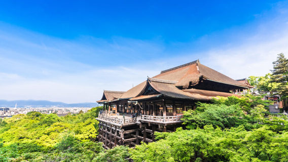 Uji