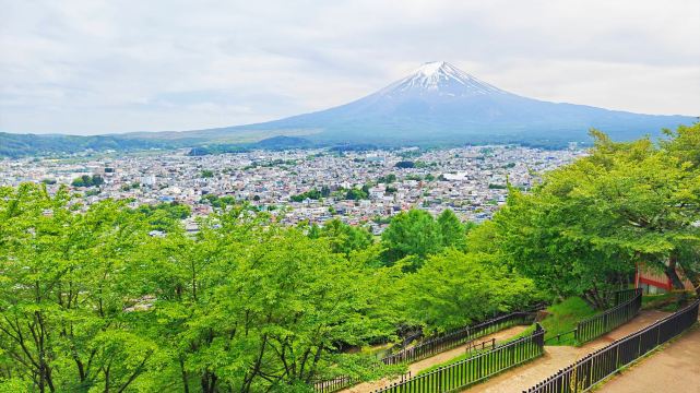 Arakurayama Sengen Park & Lake Kawaguchi Ropeway Day Tour