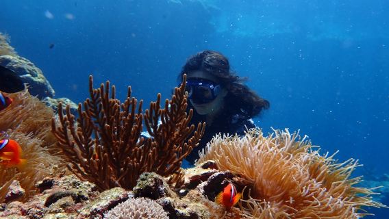 台東緑島郷でダイビング&シュノーケリング2時間体験【緑島ブルーケイブ秘境 / スリーピングビューティー古道+仙人積み石シュノーケリング】