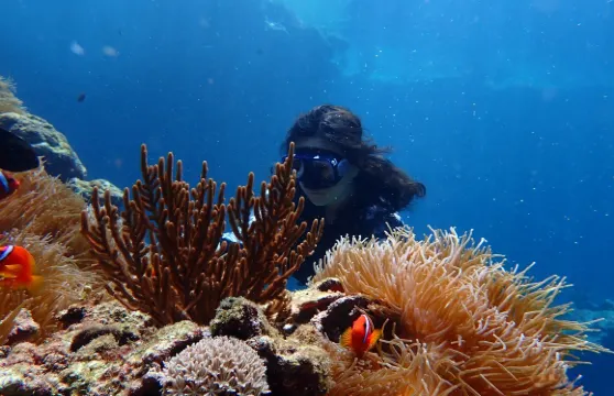 台東綠島鄉體驗潛水浮潛2小時【綠島藍洞秘境 / 睡美人古道+仙人疊石浮潛】