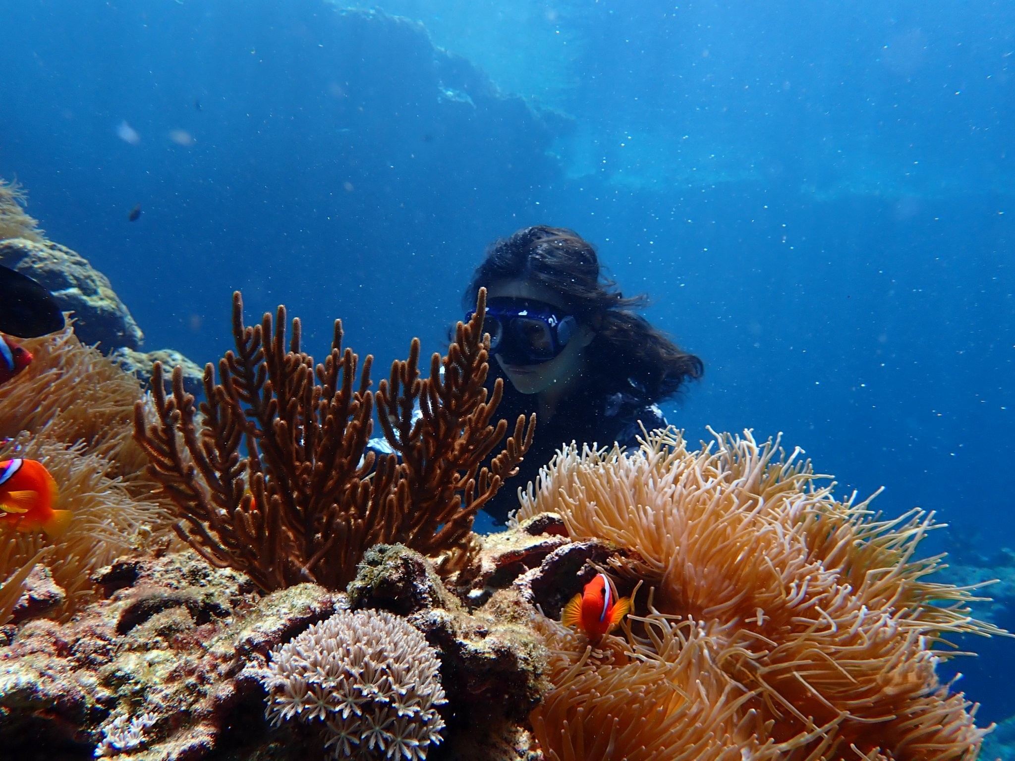 台東緑島郷でダイビング＆シュノーケリング2時間体験【緑島ブルーケイブ秘境 / スリーピングビューティー古道+仙人積み石シュノーケリング】