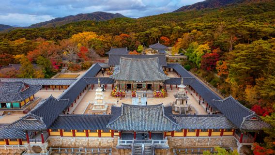 Gyeongju Half Day Highlight Tour: Bulguksa + Hwanglidangil (Daereungwon Tomb Complex/ Cheomseongdae) + Gyeongju National Museum (From Busan)