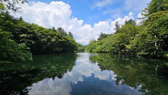 高山村日遊