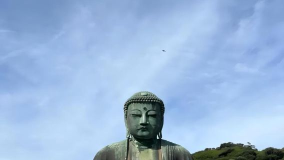 日本東京+鎌倉小町通+江之電一日遊/行程可調-可訂製多日