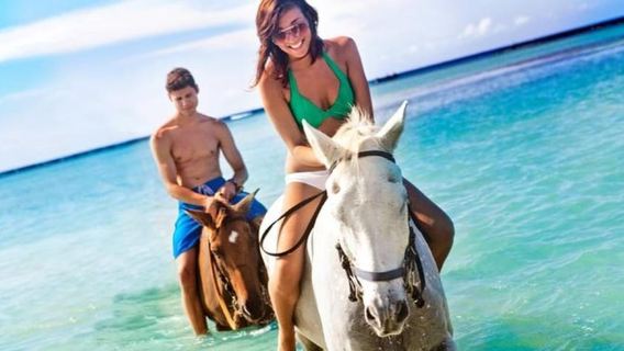 Cưỡi ngựa ở Saint Lucia: Khám phá hòn đảo theo phong cách