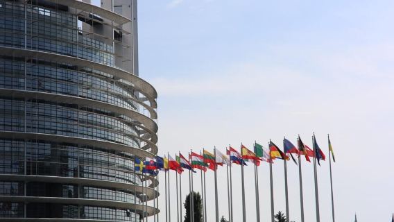 European Quarter Guided Walking Tour in Strasbourg