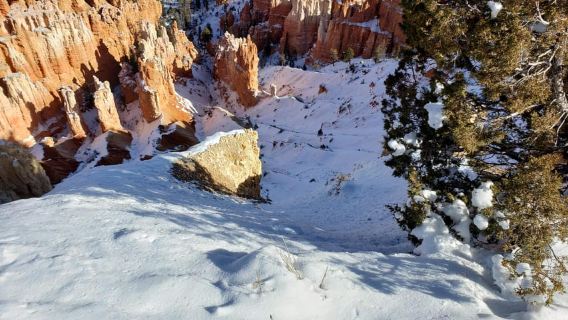 Excursión para grupos pequeños a Zion y el Cañón Bryce desde Las Vegas