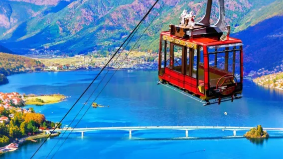 Kawaguchiko Ropeway Summit + Saiko Reagan Field Healing Tour, Free Tea Experience, and a View of Mt. Fuji