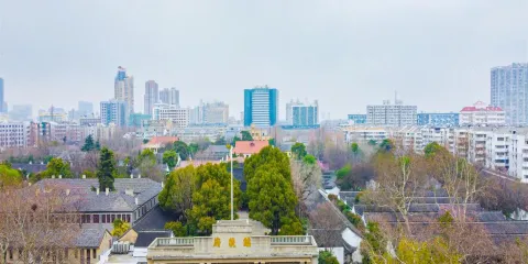 南京一日遊【總統府+南屠+大報恩寺+中山陵】