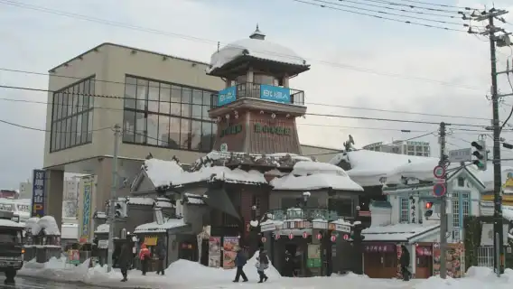 오타루 수족관, 로프웨이, 삿포로 출발 시네마틱 버스 투어