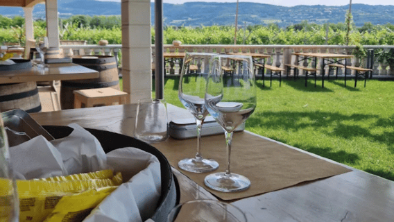 สัมผัสประสบการณ์ Valpolicella: เยี่ยมชมและชิมอาหารใกล้เมืองเวโรนา