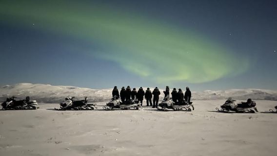 Björkliden/Abisko: tour in motoslitta nel cielo notturno
