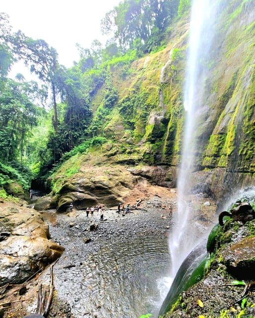 아루샤: 나푸루 폭포 가이드 하이킹