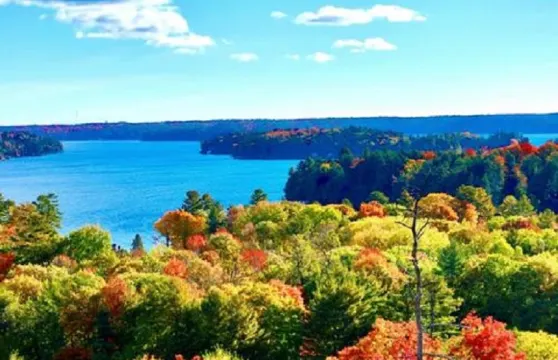 蜜月湖蒸汽碼頭+蔓越莓農莊+哈克貝利小徑：多倫多訂製包車遊