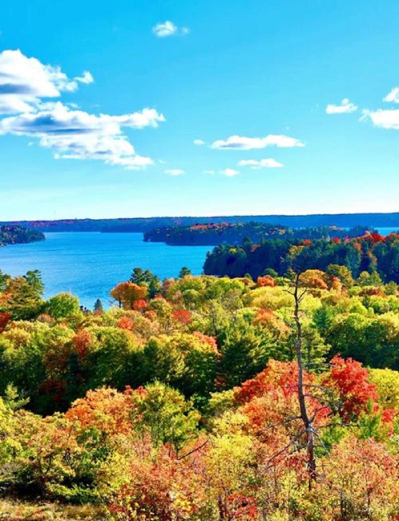 蜜月湖蒸汽碼頭+蔓越莓農莊+哈克貝利小徑：多倫多訂製包車遊
