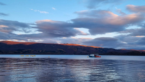 Edinburgh departure: Loch Lomond + Trossachs National Park exploration tour