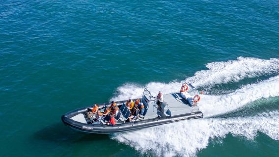 Albufeira: Dolphins & Benagil Caves – RIB Boat
