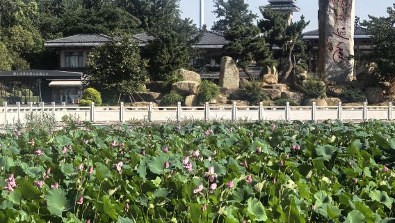 Wuhan Airport Transit Tour / 5-hour tour of Wuhan East Lake Moshan