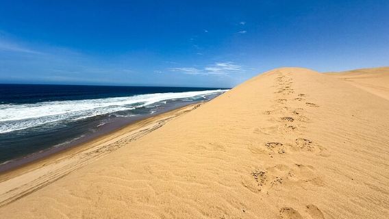 Sandwich Harbour Adventure: Seals and Sandwich harbour dune drive