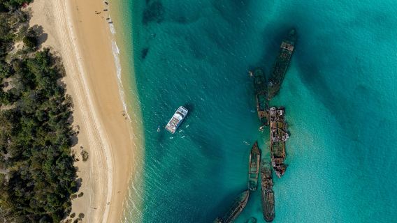 Tour di un giorno all'area dei relitti dell'Isola di Moreton e Isola di Moreton [nuovo catamarano + snorkeling + sbarco sull'isola]