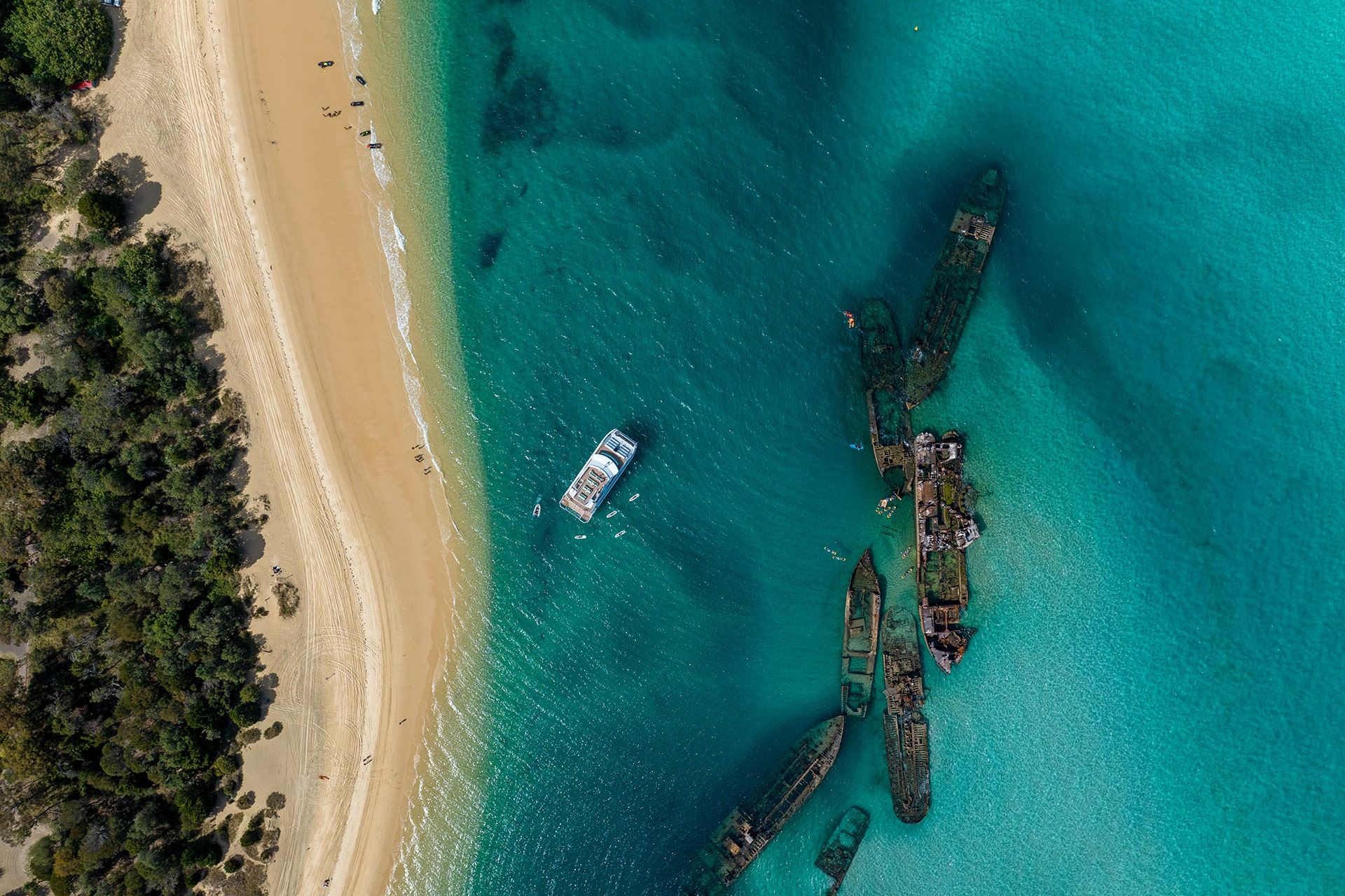 Australia Tangalooma Wrecks + Moreton Island 1-day tour [New catamaran + snorkeling + island visit]