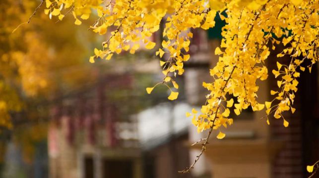 大連旅順口包車一日遊：【景點自由組合·上門接送】