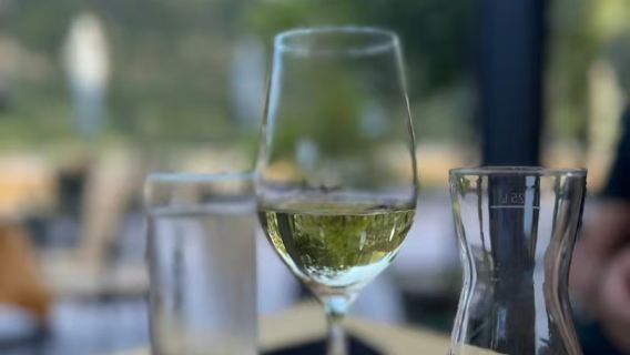 1-day tour of Vienna, Wachau Valley wine region, and Melk Abbey in Austria with Chinese-speaking private charter