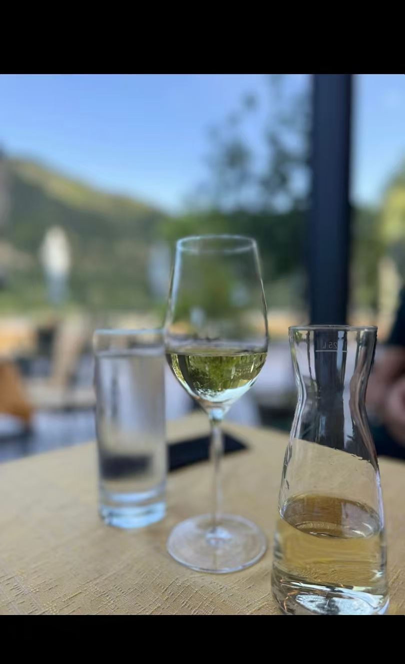 오스트리아 비엔나 + 와하우 계곡 와인 + 멜크 수도원 당일 치기 여행/중문 전세 차량