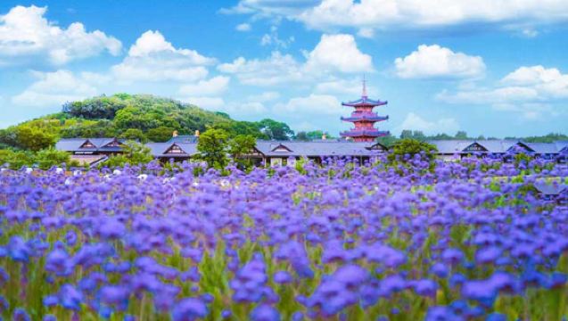 無錫靈山大佛+九龍灌浴+禪意小镇·拈花灣一日遊【 天天發車 純玩團】