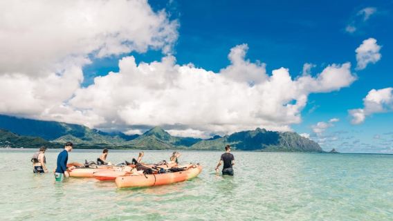 Oahu: Trải nghiệm chèo thuyền kayak tự hướng dẫn trên bãi cát Kaneohe
