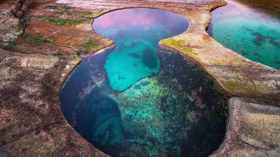 澳洲雪梨皇家國家公園+凱阿馬噴水洞+傑維斯灣【中文專車】