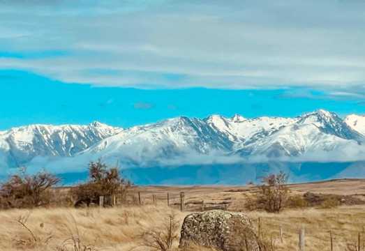 Tekapo-Mount Cook Bus | One-way/Round-trip: Ice Lake | Hooker Valley Track | Tasman Glacier