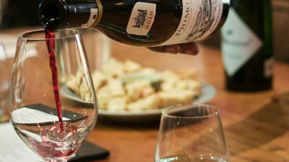 Ciudad del Cabo: Tour privado por 3 regiones vinícolas + traslado al hotel