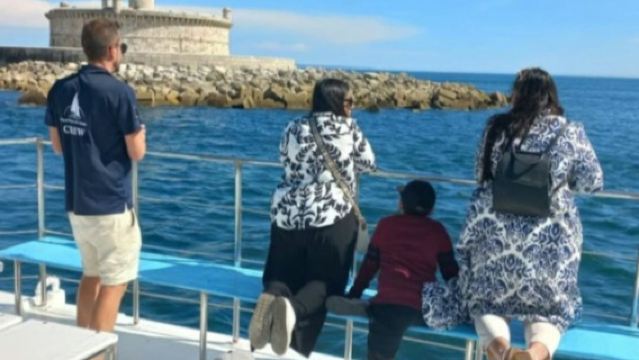 ลิสบอน: ทัวร์ชมโลมาแบบมีไกด์พร้อมบาร์เครื่องดื่มแบบเปิด