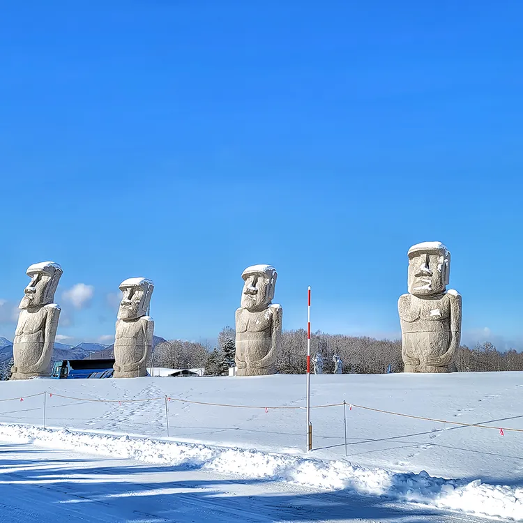 Sapporo classic 1-day tour: Hill of the Buddha + Jozankei Onsen +