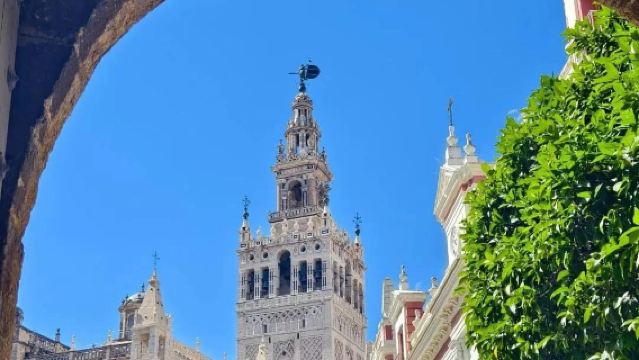 Seville City Center - Royal Alcazar - Cathedral - Bullring - Torre del Oro - Private Charter - Top Pick