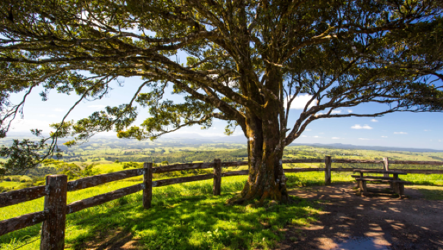 凱恩斯阿瑟頓高原+尋找鴨嘴獸一日夜遊【野營BBQ晚餐/觀星】