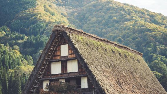 1-Day Customized Private Chartered Tour in Central Japan [Applicable for Nagoya/Takayama/Shirakawa-go/Kanazawa and More]