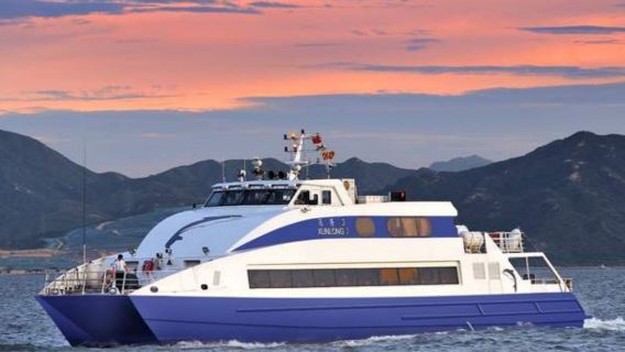 Macau Taipa Ferry Terminal (Taipa) one-way/round-trip high-speed direct ferry to Shenzhen Shekou Terminal/standard seat/first-class seat