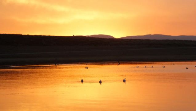 拉脊山日出或青海湖晚霞+日月山一日遊
