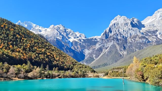 Private 1-Day Tour :Spruce Meadow+Glacier Cable Car+Blue Moon Valley