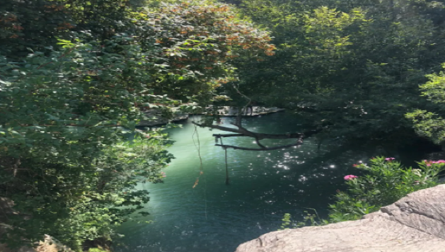 Penterjemah profesional Paphos, Cyprus | Pemandu pelancong tempatan | Teman perniagaan | Penterjemah pameran | Lawatan bebas | Perancangan perjalanan tersuai