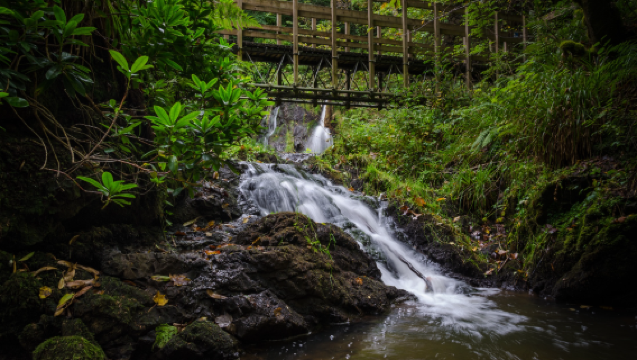 Inverness, UK Departure - Black Isle Tour: Bole Village/Cromarty/Fairy Glen/Dolphin Watching