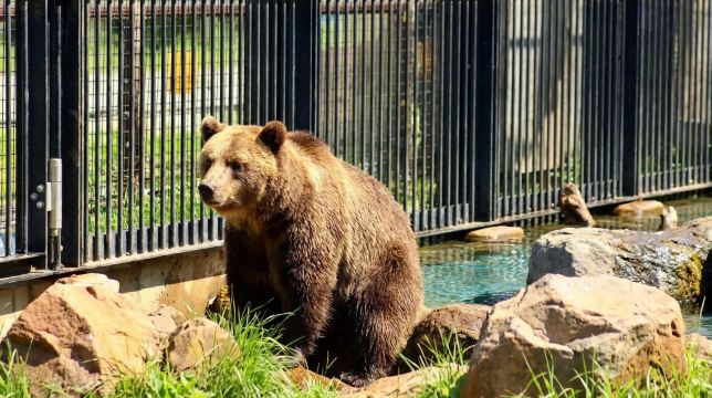 Asahikawa Zoo Day Tour