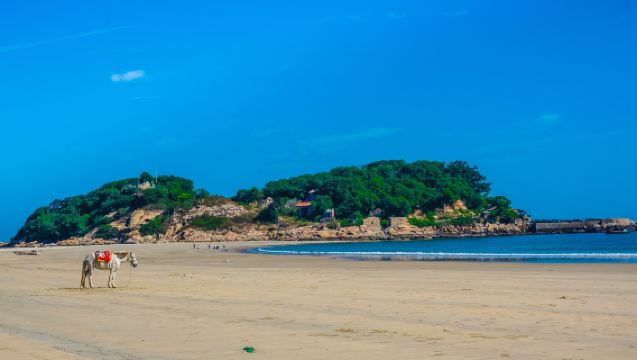 Excursión privada de un día a la isla Dongshan (salida desde Xiamen)