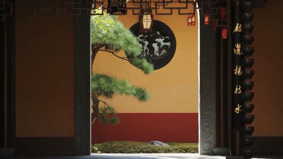 Tour esperienziale di 3 ore nella città di Shanghai