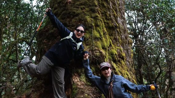 Mendaki Hutan Bulu di Gunung Gaoligong + Lawatan Sehari Tengchong Tiada Beli-belah | Jemputan di Tempat + Aktiviti Santai Termasuk Makan
