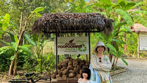 [Optional Sessions] Chiang Mai Elephant Pupu Paper Mill Half-Day Tour | Multiple Activities Available